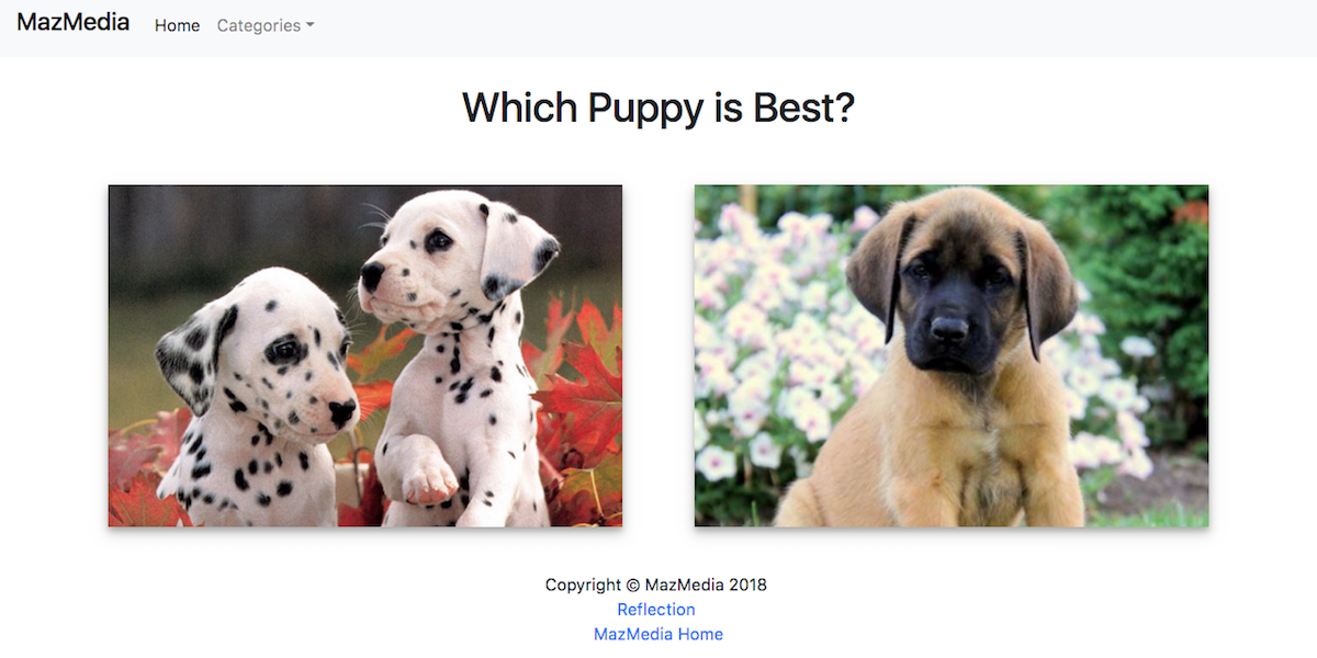 First pick puppy category screenshot